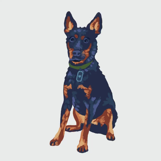 Custom Illustration Add-on